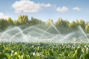 Prodotti per irrigazione a Salerno